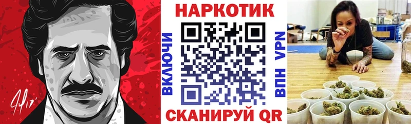 Магазины продажи наркотиков Тамбов Марихуана  Alpha-PVP  Гашиш  МЕФ  kraken   Кокаин 