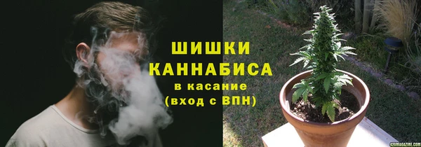 СК Верея