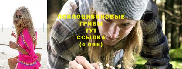 СК Верея