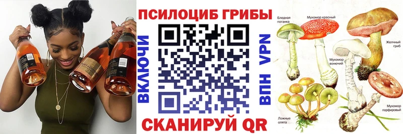 купить наркотик  Тамбов  Галлюциногенные грибы Magic Shrooms 